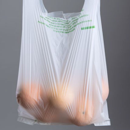 Sac biodégradable